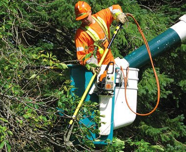 CS Unitec Hydraulic Lopper, 74" pole length