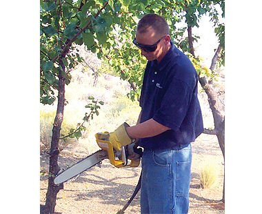CS Unitec Hydraulic Chain Saw with Brake, Pistol grip, 12" bar, up to 6HP