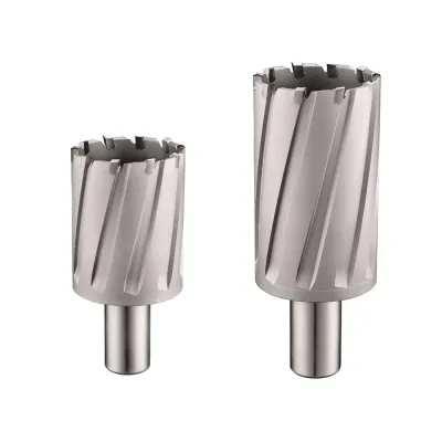 CS Unitec 9-1-4190 C 6" diameter - Hornet TCT Carbide Cutters (9-Series) - 4" Depth