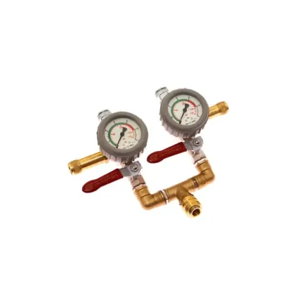 Sava 602175 Dual Inflation Controller (12 Bar/174 PSI)