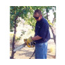 CS Unitec Hydraulic Chain Saw with Brake, Pistol grip, 12" bar, up to 6HP