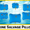 Marine Salvage Pillow for Underwater Lifting and Recovery Operations